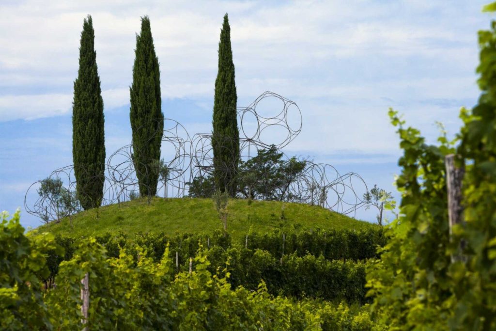 Vigne Museum, Livio Felluga, Collio